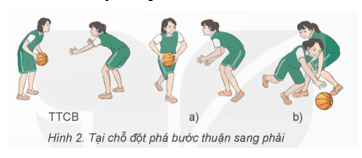 Giáo án GDTC 9 Kết nối tri thức Bài 1: Kĩ thuật đột phá bước thuận