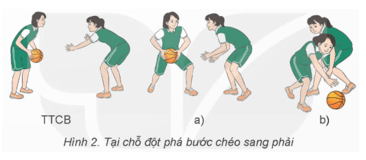Giáo án GDTC 9 Kết nối tri thức Bài 2: Kĩ thuật đột phá bước chéo
