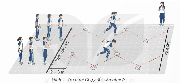Giáo án GDTC 9 Kết nối tri thức Bài 3: Kĩ thuật bỏ nhỏ