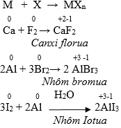 Giáo án Hóa học 10 Bài 25: Flo - Brom - Iot mới nhất
