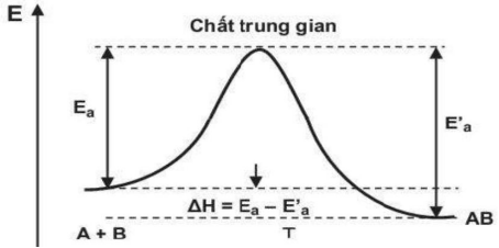 Giáo án Chuyên đề Hóa học 10 Kết nối tri thức Bài 3: Năng lượng hoạt hóa của phản ứng hóa học