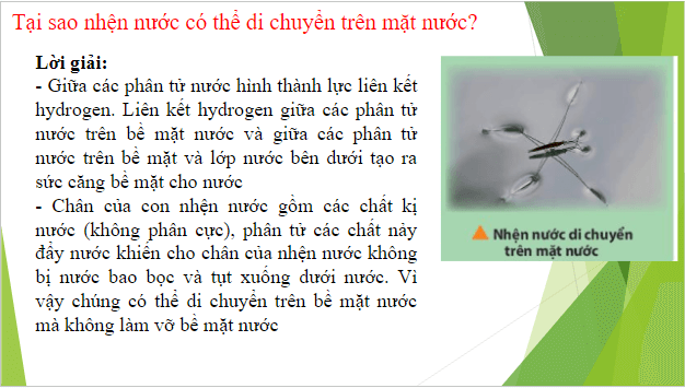 Giáo án điện tử Hóa 10 Chân trời sáng tạo Bài 11: Liên kết hydrogen và tương tác van der waals | PPT Hóa học 10