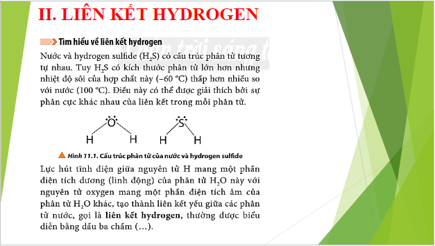 Giáo án điện tử Hóa 10 Chân trời sáng tạo Bài 11: Liên kết hydrogen và tương tác van der waals | PPT Hóa học 10