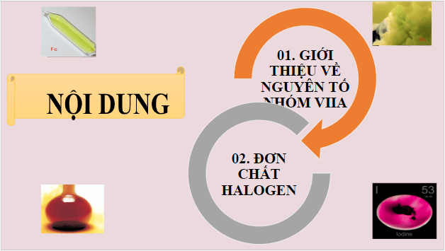 Giáo án điện tử Hóa 10 Cánh diều Bài 17: Nguyên tố và đơn chất halogen | PPT Hóa học 10