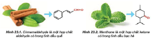 Giáo án Hóa học 11 Kết nối tri thức Bài 23: Hợp chất carbonyl