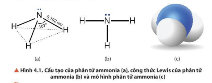 Giáo án Hóa học 11 Chân trời sáng tạo Bài 4: Ammonia và một số hợp chất ammonium