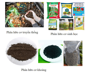 Giáo án Chuyên đề Hóa học 11 Kết nối tri thức Bài 3: Phân bón hữu cơ