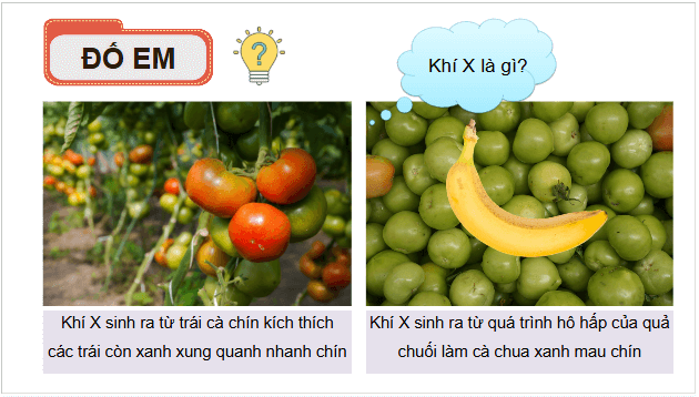 Giáo án điện tử Hóa 11 Kết nối tri thức Bài 16: Hydrocarbon không no | PPT Hóa học 11