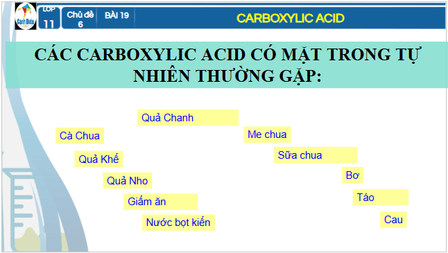 Giáo án điện tử Hóa 11 Cánh diều Bài 19: Carboxylic acid | PPT Hóa học 11