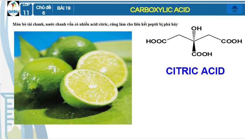 Giáo án điện tử Hóa 11 Cánh diều Bài 19: Carboxylic acid | PPT Hóa học 11