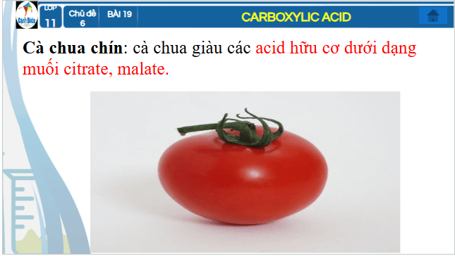 Giáo án điện tử Hóa 11 Cánh diều Bài 19: Carboxylic acid | PPT Hóa học 11