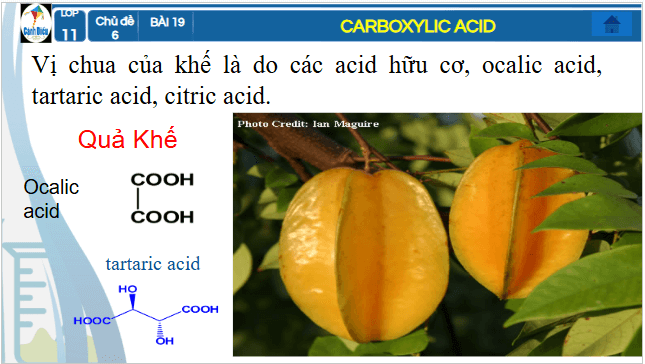 Giáo án điện tử Hóa 11 Cánh diều Bài 19: Carboxylic acid | PPT Hóa học 11