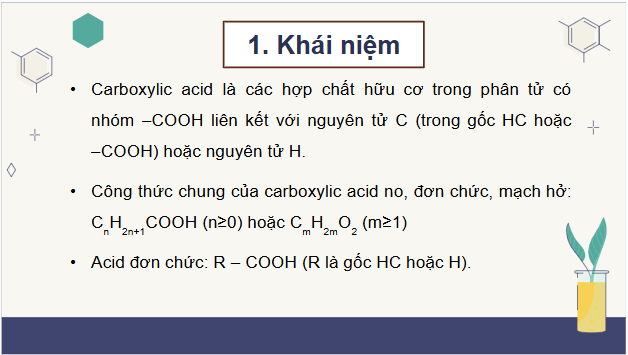 Giáo án điện tử Hóa 11 Kết nối tri thức Bài 24: Carboxylic acid | PPT Hóa học 11