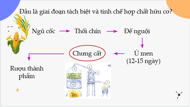 Giáo án điện tử Hóa 11 Cánh diều Bài 9: Phương pháp tách biệt và tinh chế hợp chất hữu cơ | PPT Hóa học 11