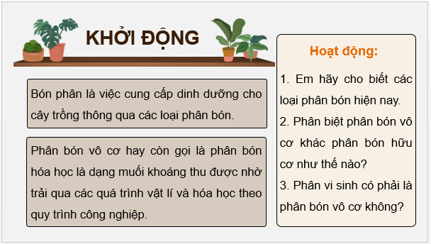 Giáo án điện tử Chuyên đề Hóa 11 Kết nối tri thức Bài 2: Phân bón vô cơ | PPT Chuyên đề Hóa học 11