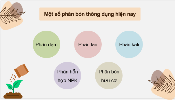 Giáo án điện tử Chuyên đề Hóa 11 Kết nối tri thức Bài 2: Phân bón vô cơ | PPT Chuyên đề Hóa học 11