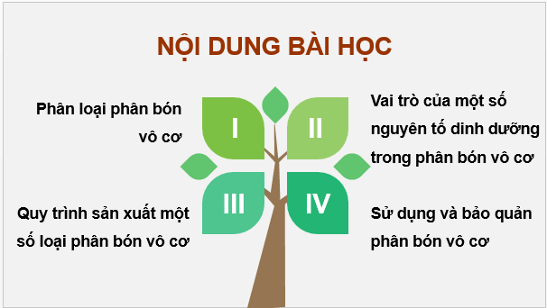 Giáo án điện tử Chuyên đề Hóa 11 Kết nối tri thức Bài 2: Phân bón vô cơ | PPT Chuyên đề Hóa học 11