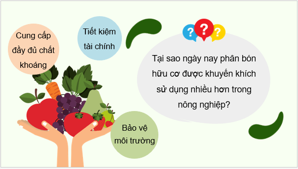 Giáo án điện tử Chuyên đề Hóa 11 Kết nối tri thức Bài 3: Phân bón hữu cơ | PPT Chuyên đề Hóa học 11