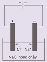 Giáo án Hóa 12 Kết nối tri thức Bài 16: Điện phân