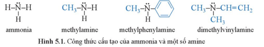 Giáo án Hóa 12 Cánh diều Bài 5: Amine (ảnh 1)