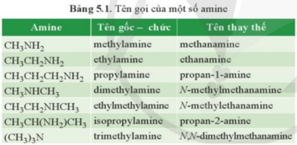 Giáo án Hóa 12 Cánh diều Bài 5: Amine (ảnh 6)