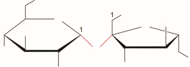 Giáo án Hóa 12 Kết nối tri thức Bài 5: Saccharose và maltose