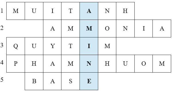 Giáo án Hóa 12 Kết nối tri thức Bài 8: Amine