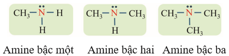 Giáo án Hóa 12 Kết nối tri thức Bài 8: Amine