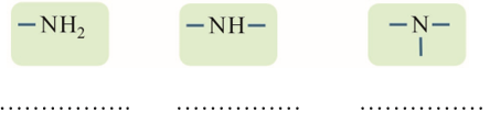 Giáo án Hóa 12 Kết nối tri thức Bài 8: Amine