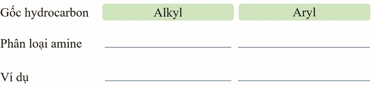 Giáo án Hóa 12 Kết nối tri thức Bài 8: Amine