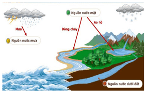 Giáo án Chuyên đề Hóa học 12 Cánh diều Bài 5: Tìm hiểu về xử lí nước