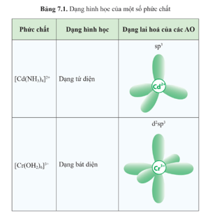 Giáo án Chuyên đề Hóa học 12 Cánh diều Bài 7: Liên kết và cấu tạo của phức chất