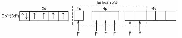 Giáo án Chuyên đề Hóa học 12 Kết nối tri thức Bài 8: Liên kết và cấu tạo của phức chất