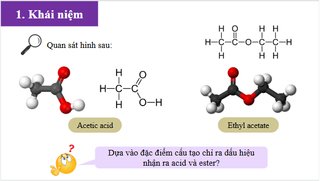 Giáo án điện tử Hóa 12 Kết nối Bài 1: Ester - Lipid | PPT Hóa học 12 Kết nối tri thức