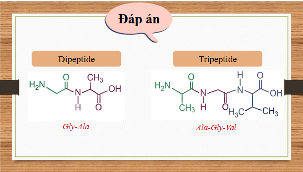 Giáo án điện tử Hóa 12 Kết nối Bài 11: Ôn tập chương 3 | PPT Hóa học 12 Kết nối tri thức