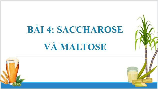 Giáo án điện tử Hóa 12 Chân trời Bài 4: Saccharose và maltose | PPT Hóa học 12 Chân trời sáng tạo