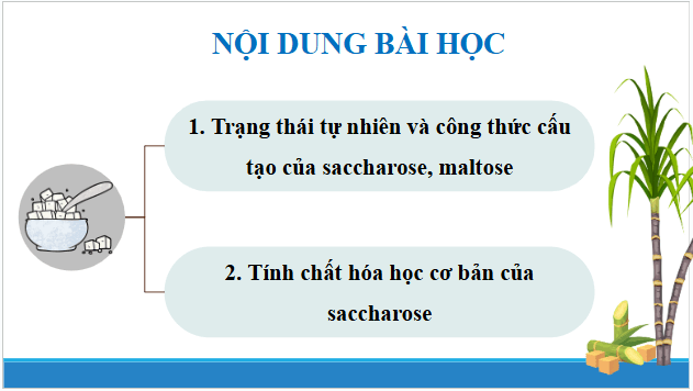 Giáo án điện tử Hóa 12 Chân trời Bài 4: Saccharose và maltose | PPT Hóa học 12 Chân trời sáng tạo