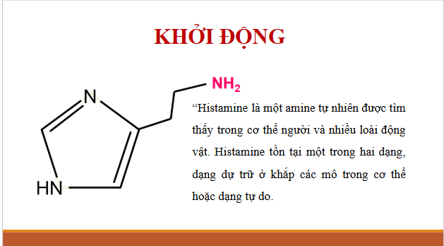 Giáo án điện tử Hóa 12 Cánh diều Bài 5: Amine | PPT Hóa học 12