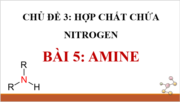 Giáo án điện tử Hóa 12 Cánh diều Bài 5: Amine | PPT Hóa học 12