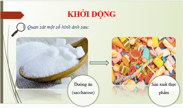 Giáo án điện tử Hóa 12 Kết nối Bài 5: Saccharose và maltose | PPT Hóa học 12 Kết nối tri thức