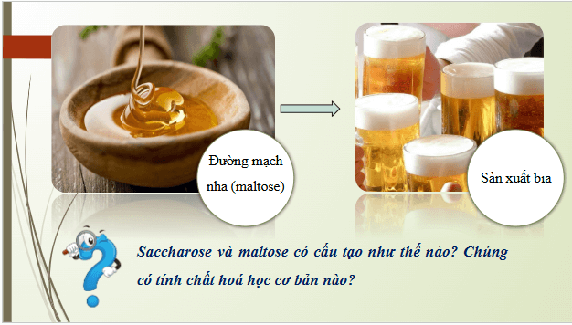 Giáo án điện tử Hóa 12 Kết nối Bài 5: Saccharose và maltose | PPT Hóa học 12 Kết nối tri thức