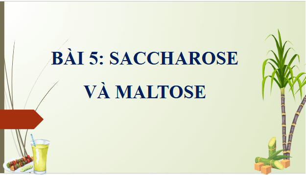 Giáo án điện tử Hóa 12 Kết nối Bài 5: Saccharose và maltose | PPT Hóa học 12 Kết nối tri thức