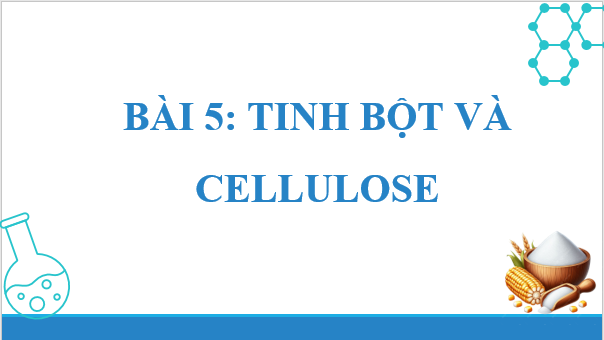 Giáo án điện tử Hóa 12 Chân trời Bài 5: Tinh bột và cellulose | PPT Hóa học 12 Chân trời sáng tạo