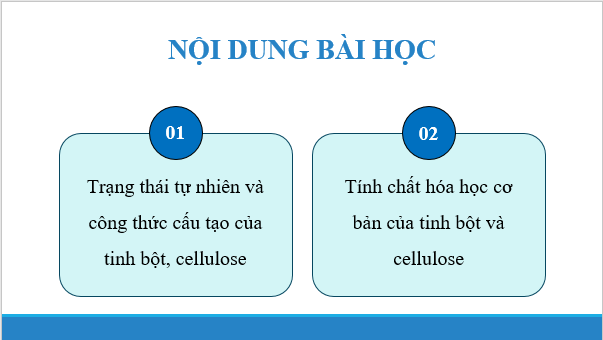 Giáo án điện tử Hóa 12 Chân trời Bài 5: Tinh bột và cellulose | PPT Hóa học 12 Chân trời sáng tạo