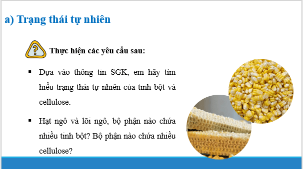 Giáo án điện tử Hóa 12 Chân trời Bài 5: Tinh bột và cellulose | PPT Hóa học 12 Chân trời sáng tạo