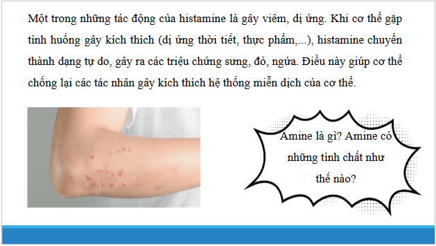 Giáo án điện tử Hóa 12 Chân trời Bài 6: Amine | PPT Hóa học 12 Chân trời sáng tạo