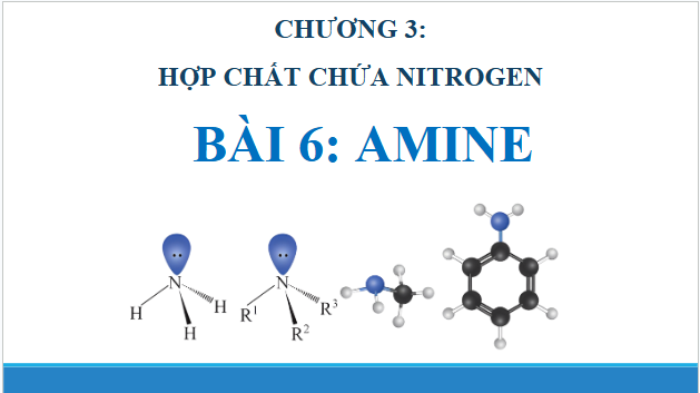 Giáo án điện tử Hóa 12 Chân trời Bài 6: Amine | PPT Hóa học 12 Chân trời sáng tạo