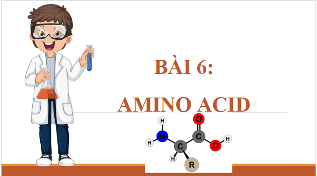 Giáo án điện tử Hóa 12 Cánh diều Bài 6: Amino acid | PPT Hóa học 12