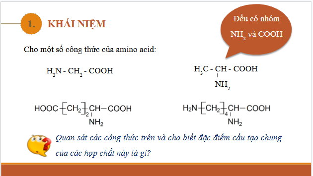 Giáo án điện tử Hóa 12 Cánh diều Bài 6: Amino acid | PPT Hóa học 12