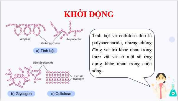 Giáo án điện tử Hóa 12 Kết nối Bài 6: Tinh bột và cellulose | PPT Hóa học 12 Kết nối tri thức